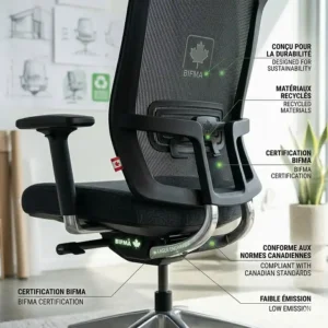 Sustainable design illustration for eco-friendly premium office chairs 500 to 1000 CAD meeting Canadian commercial furniture standards.